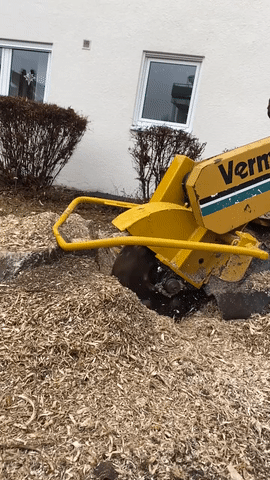 Wurzelstockentfernung GIF