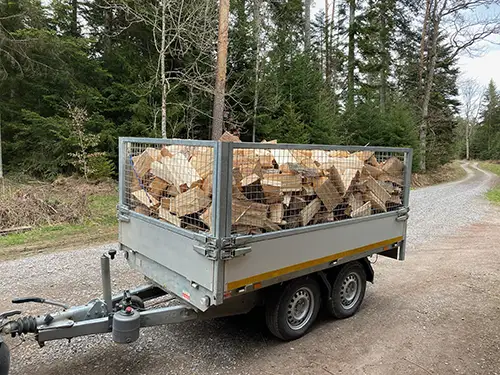 Brennholz